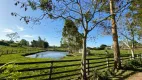 Foto 4 de Fazenda/Sítio com 4 Quartos à venda, 300m² em Distrito Industrial, Santa Cruz do Sul