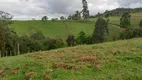 Foto 15 de Fazenda/Sítio com 3 Quartos à venda, 75169m² em Centro, Alfredo Wagner