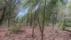 Foto 5 de Fazenda/Sítio com 3 Quartos para alugar, 20m² em Ceilandia Norte, Brasília