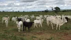 Foto 8 de Fazenda/Sítio à venda em Centro, São José da Barra