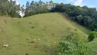 Foto 28 de Fazenda/Sítio à venda, 160000m² em Zona Rural, São Bonifácio