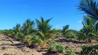 Foto 20 de Fazenda/Sítio com 2 Quartos à venda, 50m² em Zona Rural, Touros