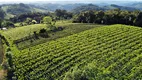 Foto 12 de Fazenda/Sítio à venda, 24000m² em Zona Rural, Monte Belo do Sul