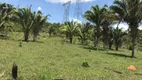 Foto 27 de Fazenda/Sítio com 4 Quartos à venda, 2070000m² em , Água Fria de Goiás
