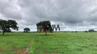 Foto 12 de Fazenda/Sítio à venda, 44286000m² em Zona Rural, Abreulândia