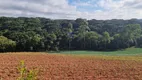 Foto 35 de Fazenda/Sítio com 1 Quarto à venda, 72600m² em Tindiquera, Araucária