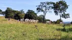 Foto 17 de Fazenda/Sítio com 3 Quartos à venda, 90m² em Zona Rural, Jaraguá