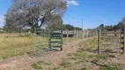 Foto 7 de Fazenda/Sítio com 3 Quartos à venda, 150m² em Zona Rural, Sarapuí