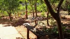Foto 16 de Fazenda/Sítio com 3 Quartos à venda, 370m² em Jockey Camping, Uberlândia