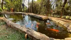 Foto 8 de Fazenda/Sítio com 3 Quartos à venda, 320m² em Zona Rural, São José do Rio Preto