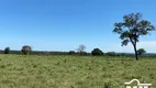 Foto 5 de Fazenda/Sítio à venda em Zona Rural, São Miguel do Araguaia