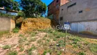 Foto 3 de Lote/Terreno à venda, 252m² em Arlindo Villaschi, Viana