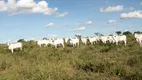 Foto 6 de Fazenda/Sítio com 2 Quartos à venda, 1000m² em Zona Rural, Brasilândia de Minas