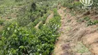 Foto 2 de Fazenda/Sítio com 3 Quartos à venda, 205000m² em Zona Rural, Jacutinga