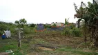 Foto 11 de Lote/Terreno para venda ou aluguel, 6000m² em Jardim Presidente Dutra, Guarulhos