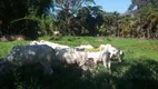 Foto 11 de Fazenda/Sítio com 5 Quartos à venda, 300m² em Sana, Macaé