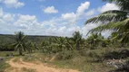 Foto 8 de Fazenda/Sítio com 3 Quartos à venda, 2870000m² em Porto de Sauipe, Entre Rios