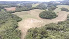 Foto 20 de Lote/Terreno à venda, 72600m² em JARDIM CECILIA, Campo Magro