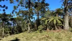 Foto 7 de Fazenda/Sítio à venda, 20000m² em Zona Rural, Urubici