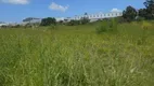 Foto 9 de Lote/Terreno à venda, 5000m² em Parque Rincao, Cotia