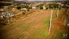 Foto 4 de Lote/Terreno à venda, 60000m² em Centro, São Miguel do Iguaçu