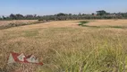 Foto 16 de Fazenda/Sítio com 1 Quarto à venda, 55000m² em Campo Largo da Roseira, São José dos Pinhais