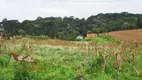 Foto 5 de Fazenda/Sítio com 2 Quartos à venda, 6000m² em Colônia Malhada, São José dos Pinhais