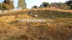 Foto 3 de Fazenda/Sítio com 3 Quartos à venda, 150m² em Concesso Elias, Nova Serrana