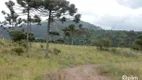 Foto 12 de Fazenda/Sítio com 2 Quartos à venda, 110m² em Zona Rural, Urubici