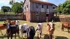 Foto 2 de Fazenda/Sítio à venda, 726000m² em Zona Rural, Botucatu