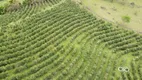 Foto 13 de Fazenda/Sítio com 1 Quarto à venda, 183920m² em , Espírito Santo do Pinhal