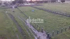 Foto 17 de Fazenda/Sítio para alugar, 400m² em Area Rural de Uberlandia, Uberlândia