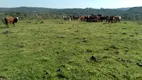 Foto 7 de Fazenda/Sítio com 3 Quartos à venda, 2600000m² em Centro, Bagé