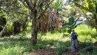 Foto 22 de Fazenda/Sítio com 2 Quartos à venda, 2800m² em Parque Guarani, Juiz de Fora