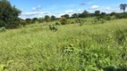 Foto 13 de Fazenda/Sítio à venda em Zona Rural, Jaíba