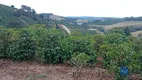 Foto 11 de Fazenda/Sítio com 2 Quartos à venda, 120000m² em Zona Rural, São João da Mata