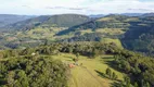 Foto 5 de Fazenda/Sítio à venda, 390000m² em , Canela