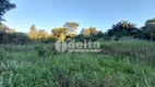 Foto 9 de Fazenda/Sítio à venda, 20000m² em Area Rural de Uberlandia, Uberlândia