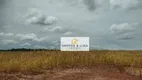 Foto 9 de Fazenda/Sítio com 10 Quartos à venda, 900m² em Setor Central, Araguaína