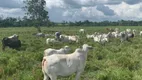 Foto 22 de Fazenda/Sítio com 2 Quartos à venda, 2030000m² em Promissao, Paragominas