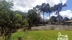 Foto 9 de Fazenda/Sítio com 3 Quartos à venda, 300m² em Borda do Campo, São José dos Pinhais
