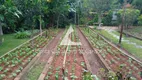 Foto 18 de Fazenda/Sítio com 5 Quartos à venda, 250m² em Sebastião de Lacerda, Rio das Flores