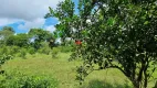 Foto 22 de Fazenda/Sítio com 3 Quartos à venda, 4000m² em Cacau Pirera, Iranduba