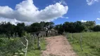 Foto 3 de Fazenda/Sítio com 2 Quartos à venda, 50m² em Zona Rural, Pelotas