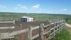 Foto 16 de Fazenda/Sítio com 3 Quartos à venda, 210000m² em Monte Alegre, Monte Alegre