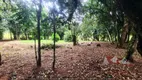 Foto 22 de Fazenda/Sítio com 1 Quarto à venda, 5000m² em Faxina, São José dos Pinhais