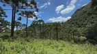 Foto 7 de Fazenda/Sítio à venda em Zona Rural, Urubici