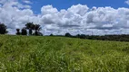 Foto 29 de Fazenda/Sítio com 3 Quartos à venda, 3750000m² em Centro, São Miguel do Guamá