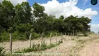 Foto 5 de Lote/Terreno à venda, 350000m² em Guanaces, Cascavel