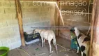 Foto 47 de Fazenda/Sítio com 3 Quartos à venda, 300m² em Ouro Fino, Ribeirão Pires